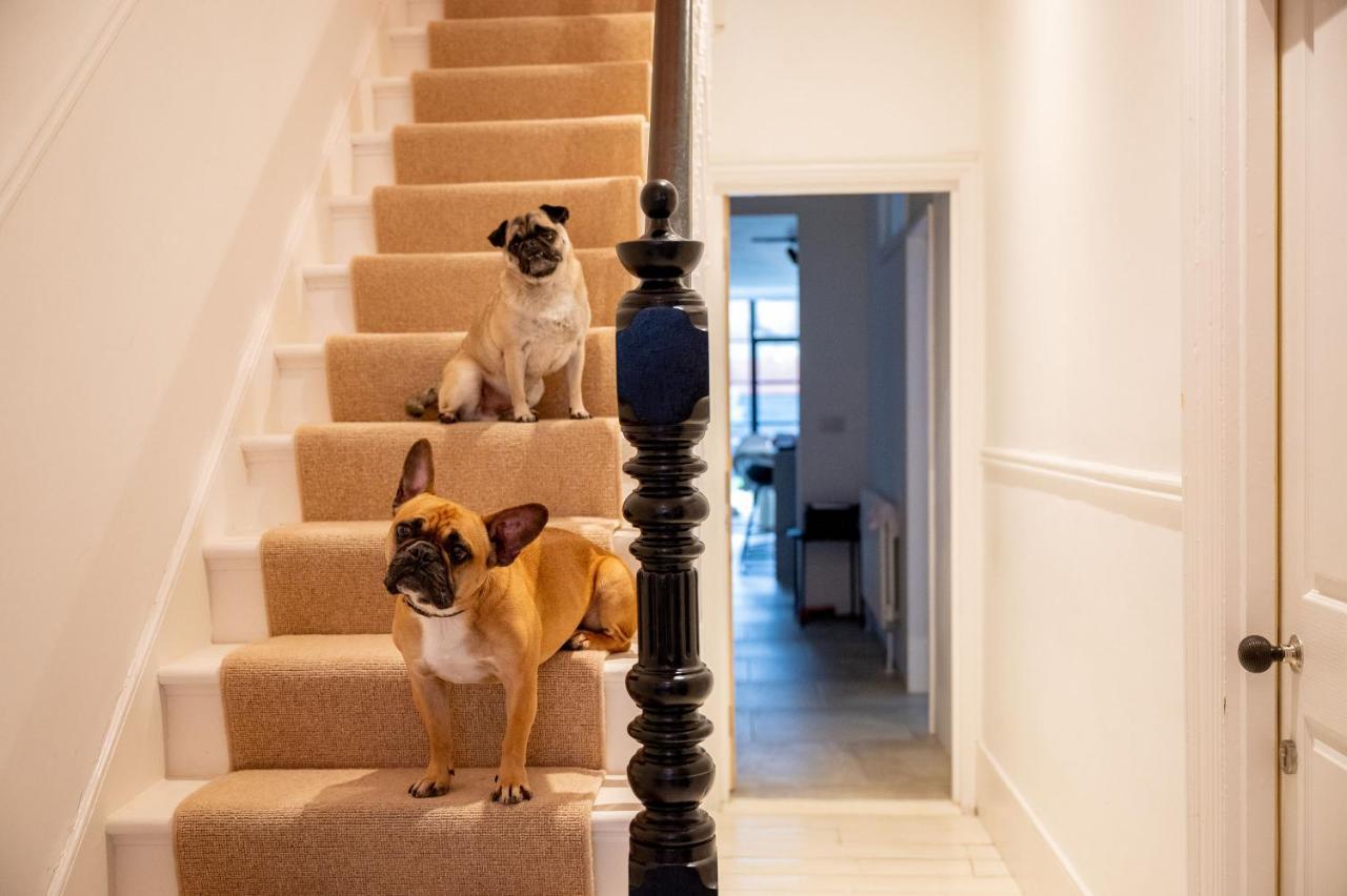 Bed and Breakfast Doghouse Margate Exterior foto