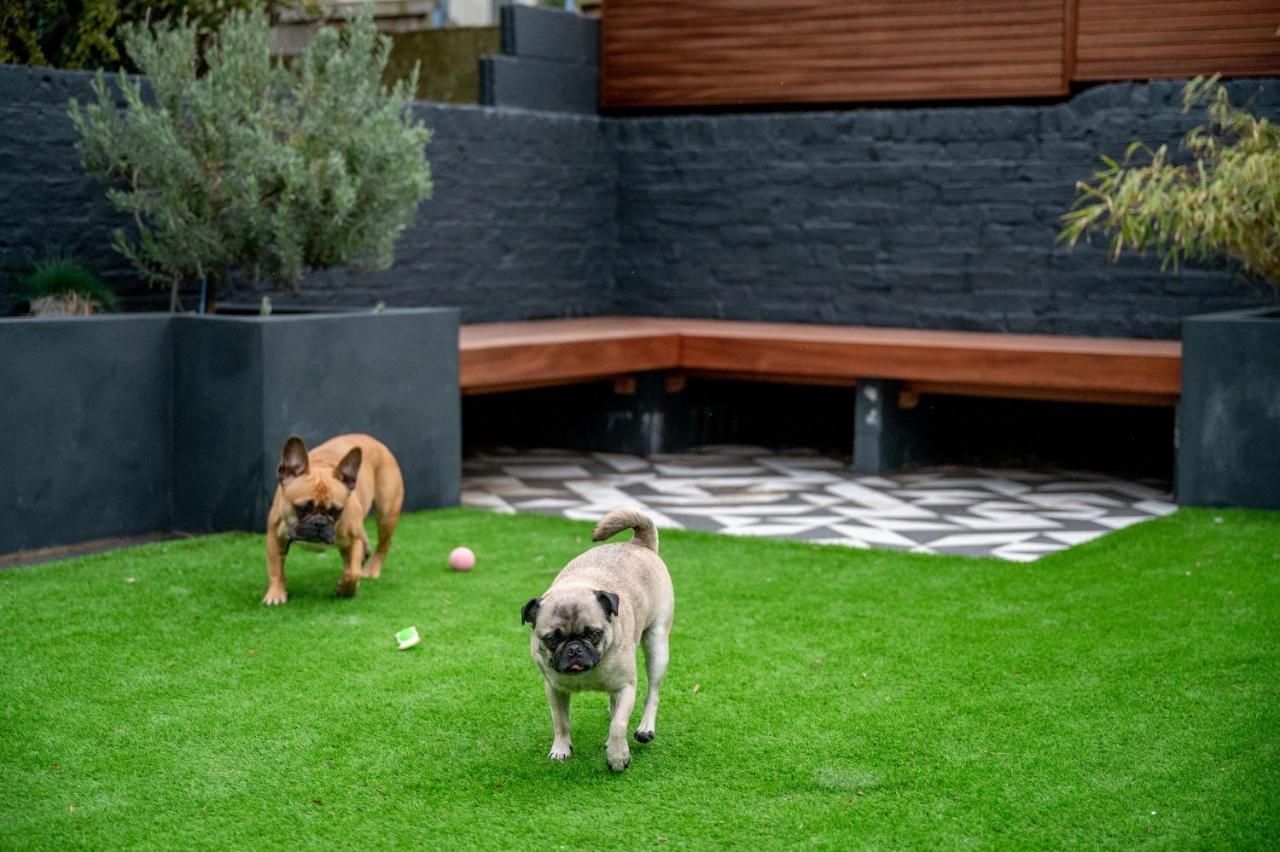 Bed and Breakfast Doghouse Margate Exterior foto